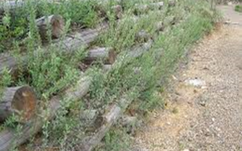 05/10/15 Seminario: Recupero dei territori “Fragili” con tecniche di Ingegneria Naturalistica