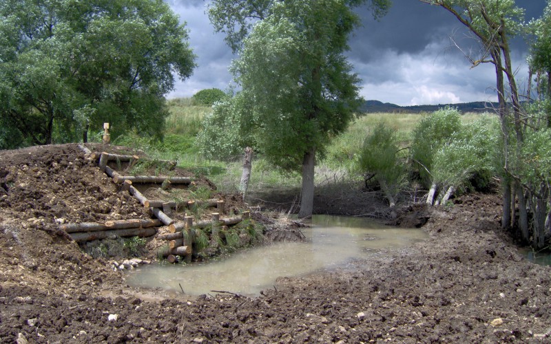 6-7/07/2016 Short Course di Ingegneria Naturalistica – Interventi di difesa spondale e rinaturalizzazione dei corsi d’acqua con tecniche di ingegneria naturalistica