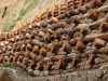 Convegno “Carta della Natura” organizzato da ARPAC