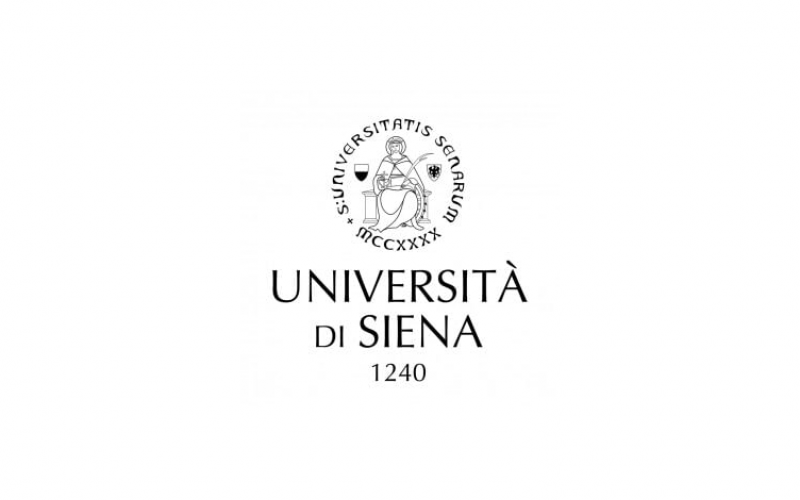 Master Universitario in Engineering Geology – ENGEO – Università degli Studi di Siena