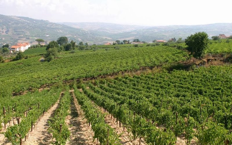 14/12/18 Workshop Geologia nel bicchiere nelle Terre dell’Aglianico del Greco di Tufo e del Fiano