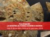 Mostra “PaleoMare” a Napoli fino al 10 gennaio 2020